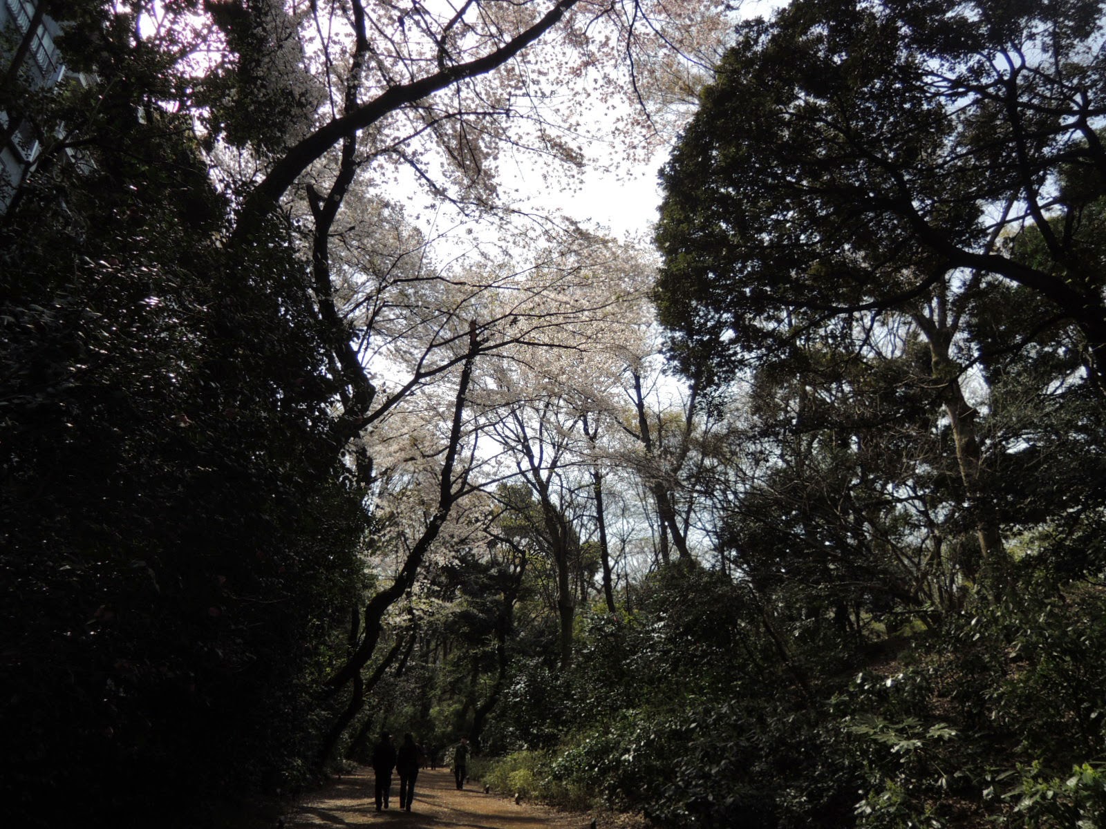 六義園