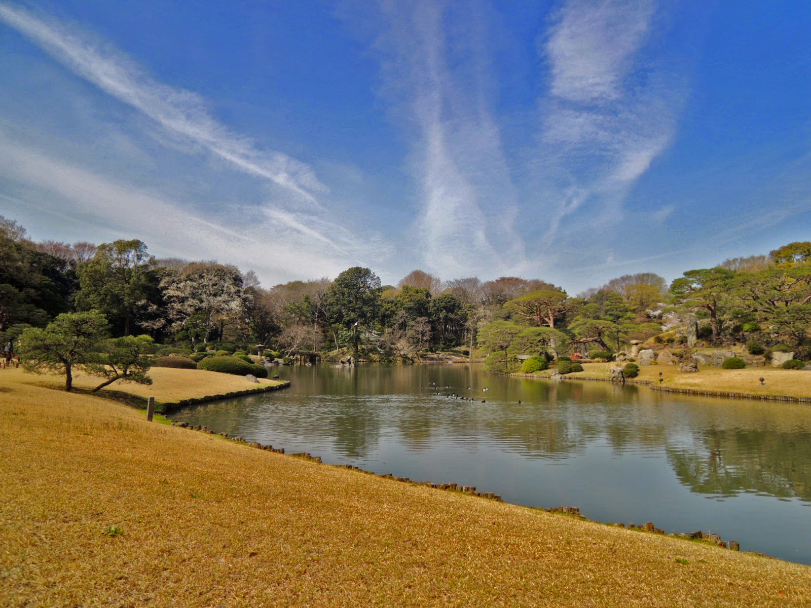 六義園/tokyo/tokyodrive
