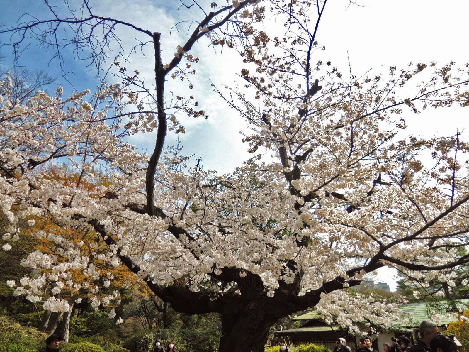 六義園