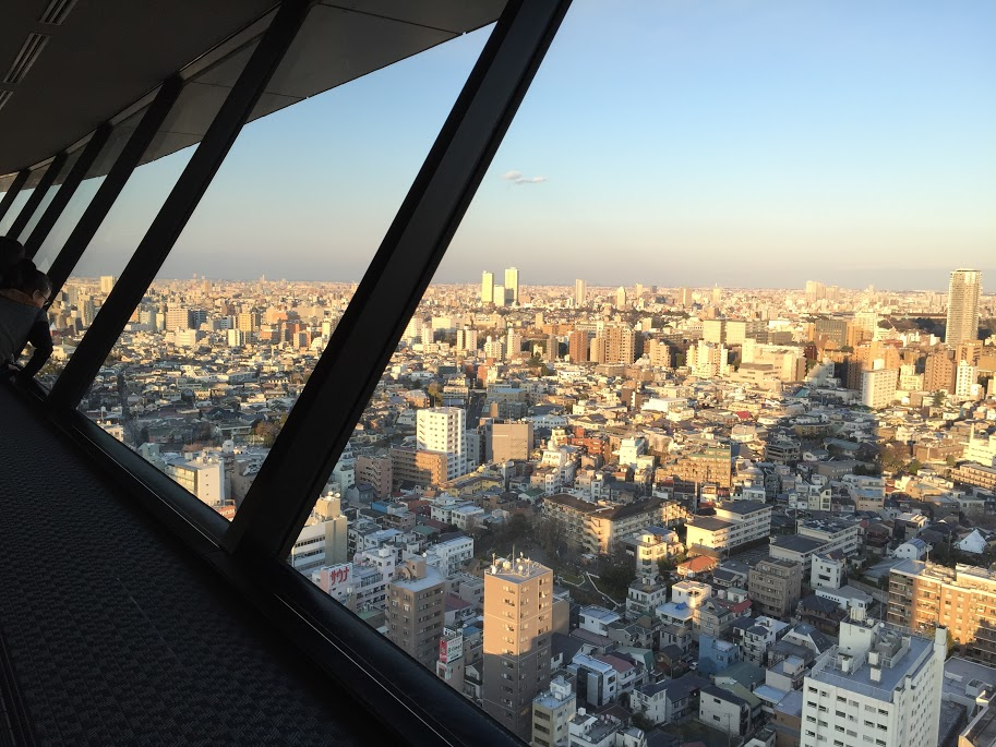 文京シビックセンター/東京/tokyo/tokyodrive