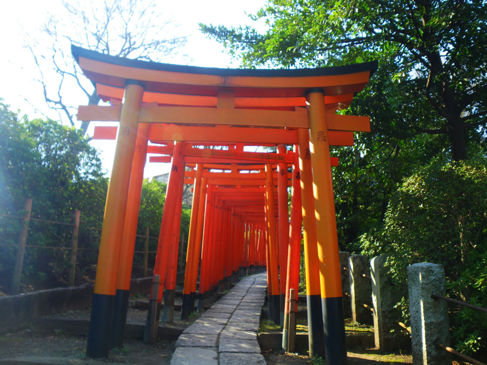 根津神社/観光/東京観光/東京観光タクシー/tokyo