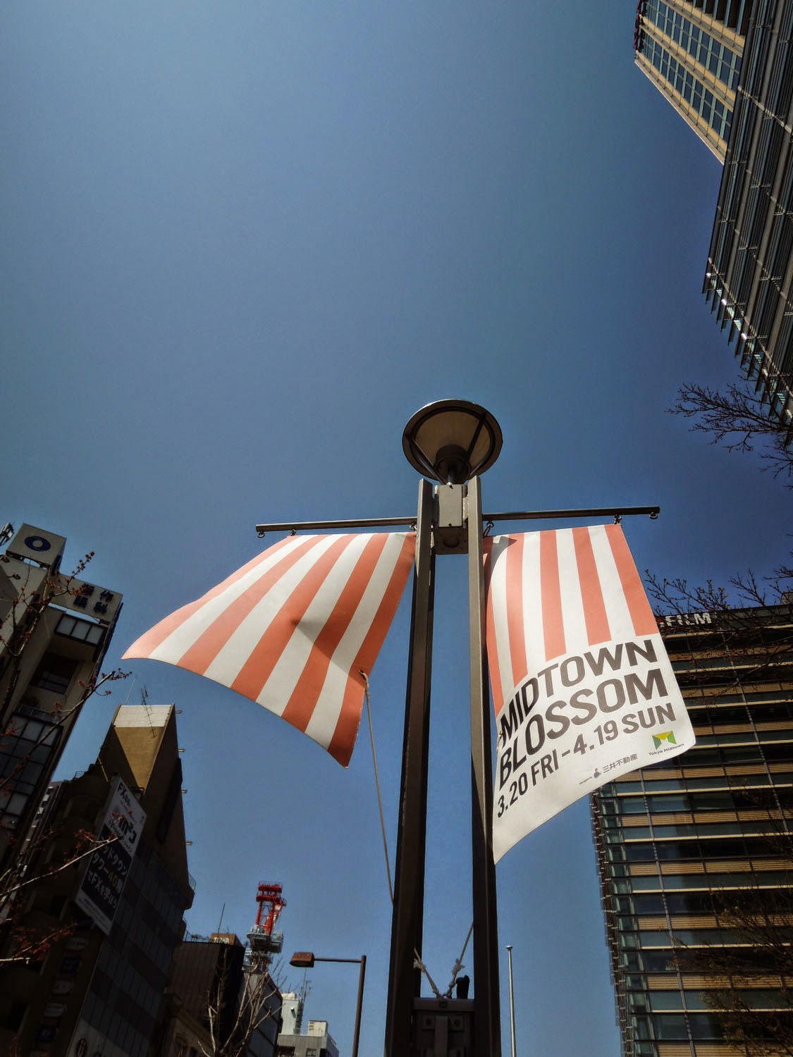 MIDTOWN BLOSSOM 2015