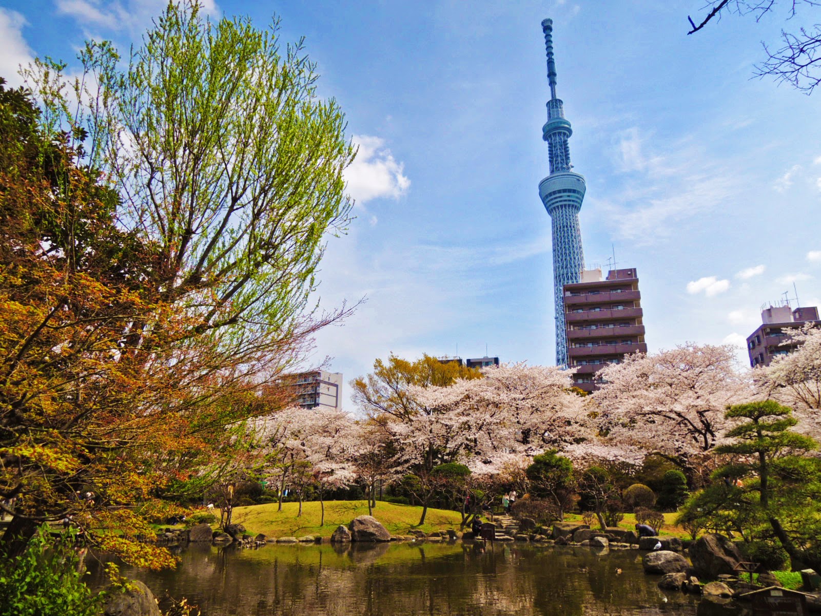 東京観光 墨田公園 Sumida Park