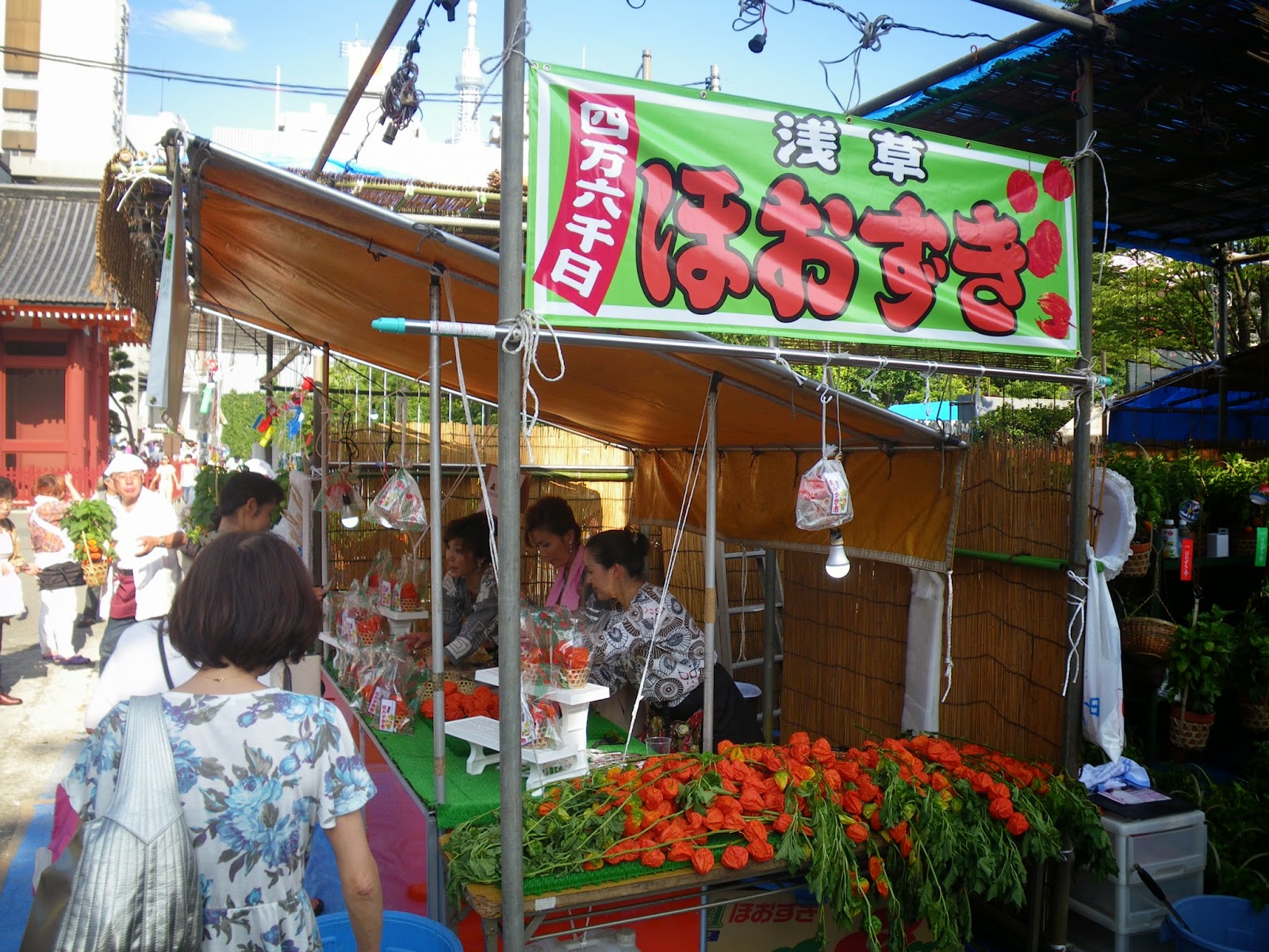 東京観光 浅草ほおずき市 Hozuki market in Asakusa
