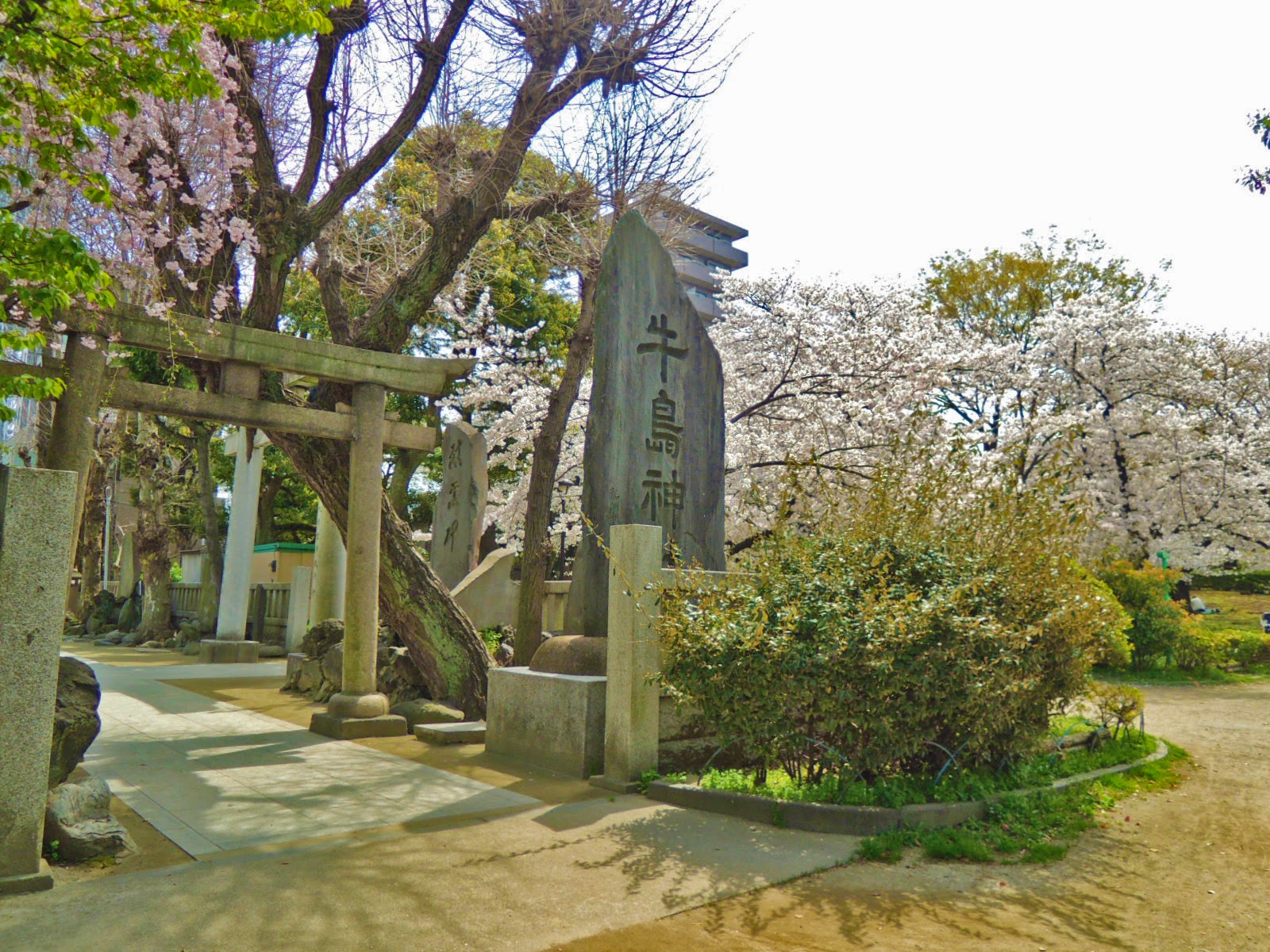 東京観光 墨田公園 Sumida Park