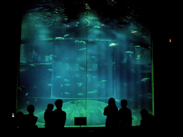 葛西臨海水族園 Tokyo Sea Life Park