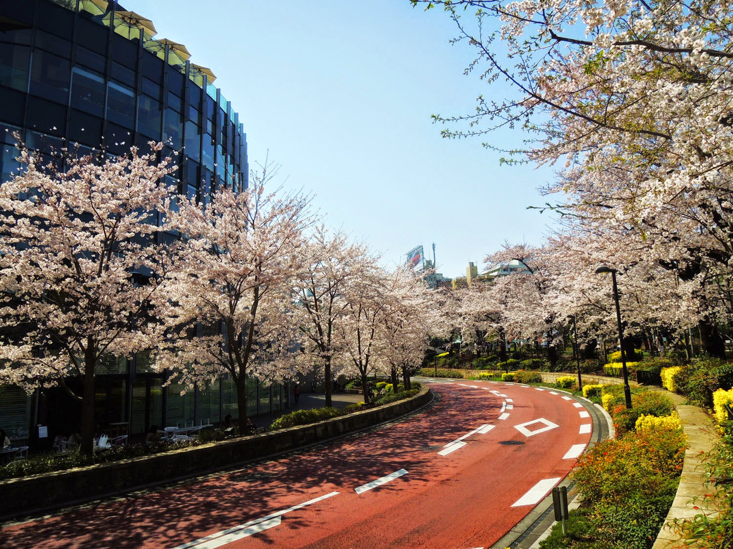 MIDTOWN BLOSSOM 2015