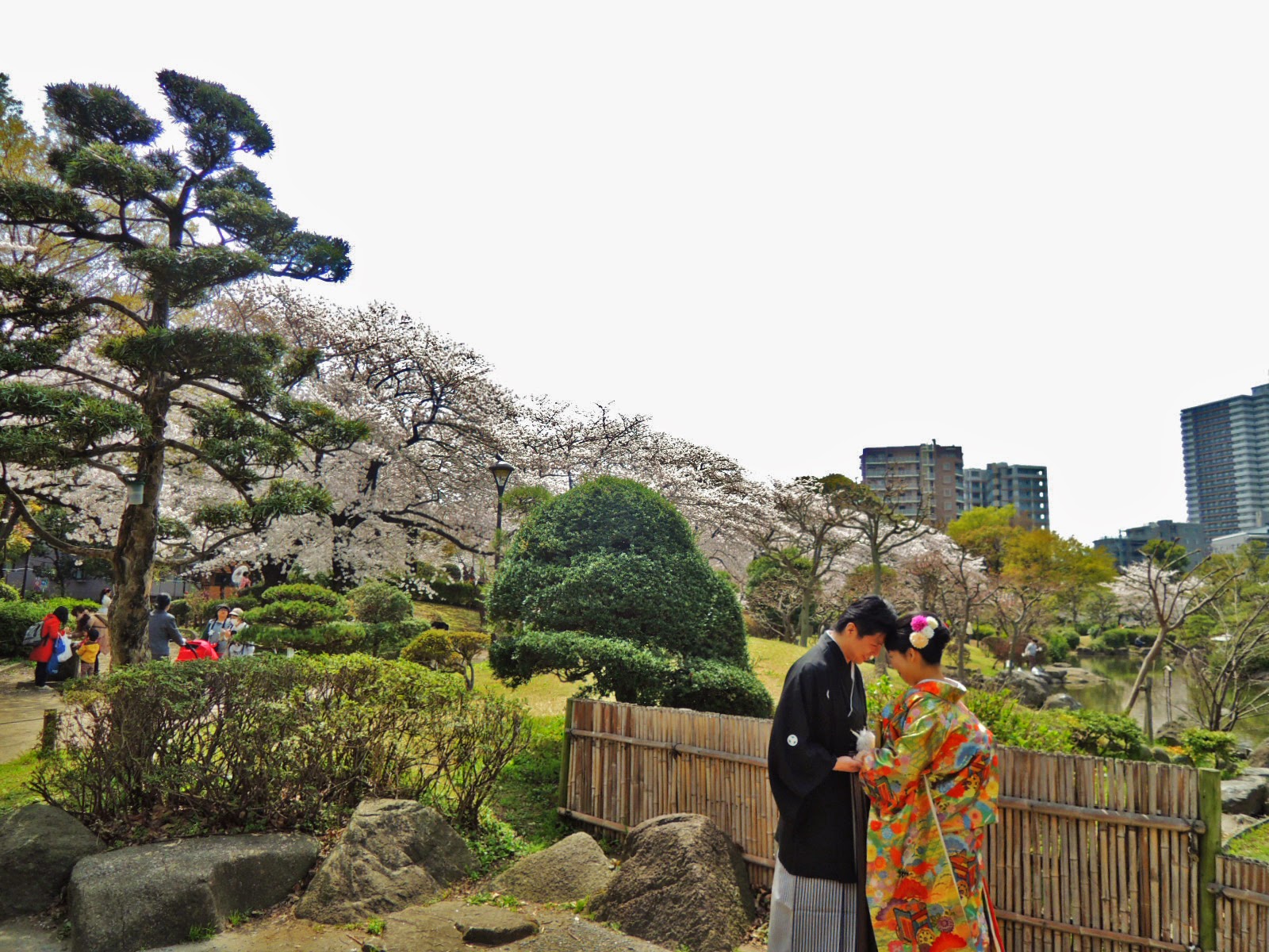 東京観光 墨田公園 Sumida Park