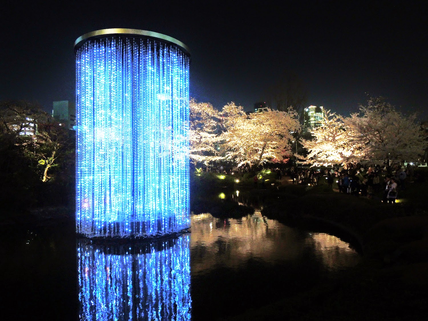 東京観光 毛利庭園の夜桜