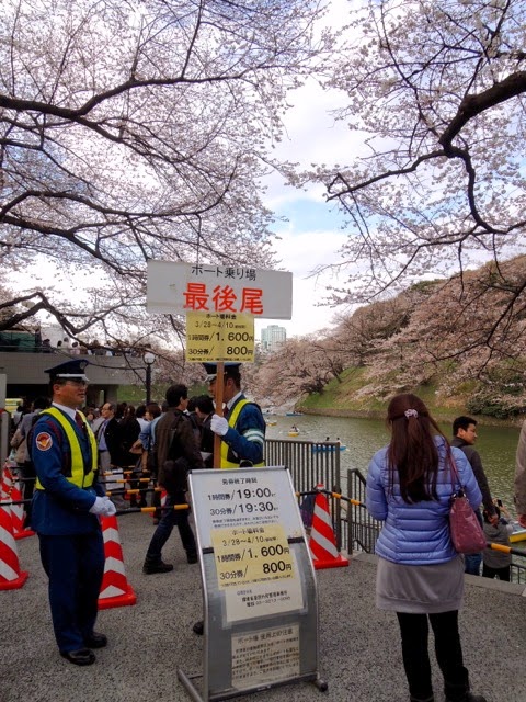 東京観光 千鳥ヶ淵の桜 Cherry Blossoms in Chidorigafuchi