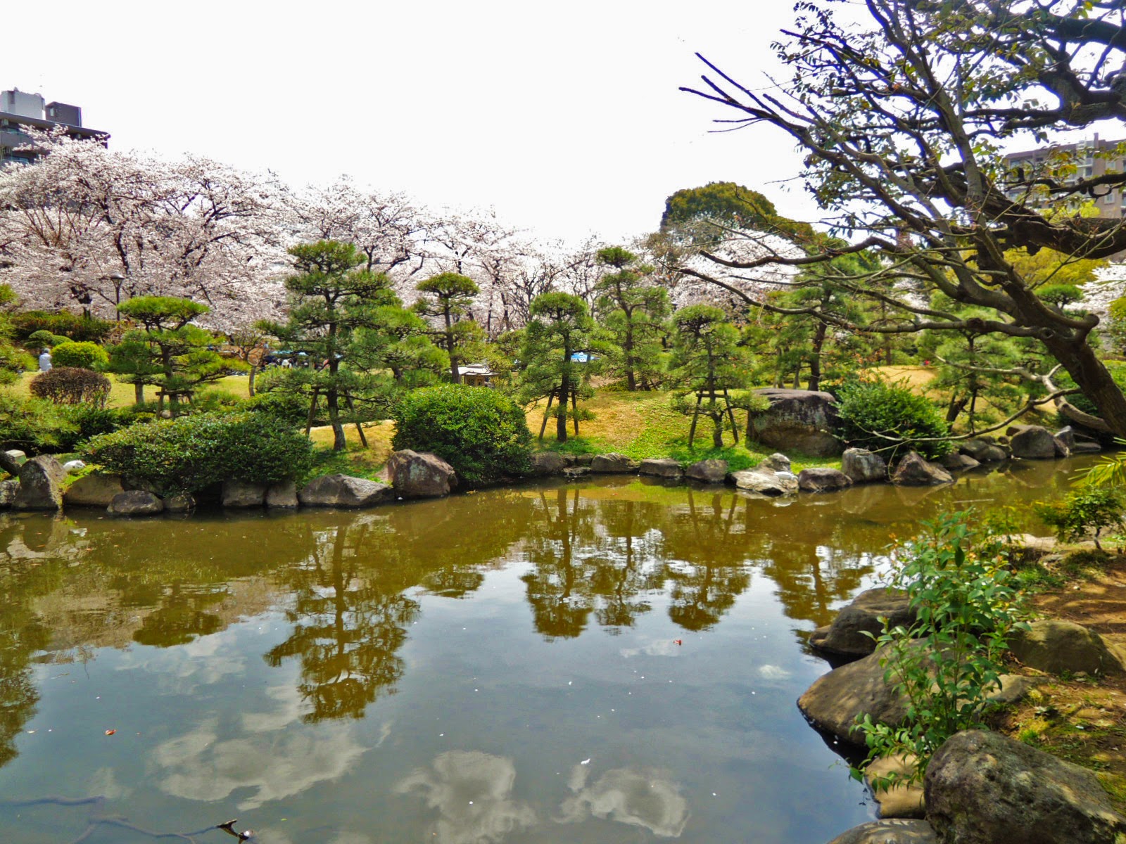 東京観光 墨田公園 Sumida Park