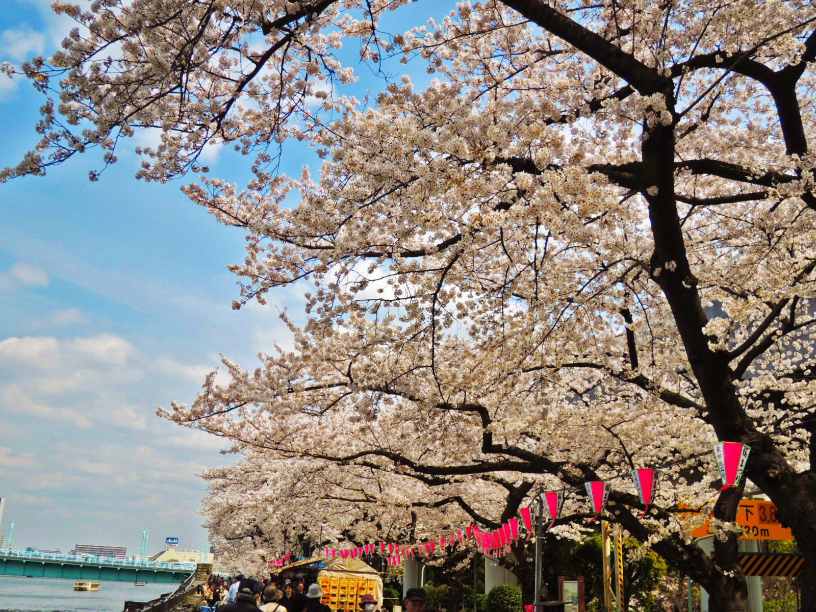 東京観光 墨田公園 Sumida Park