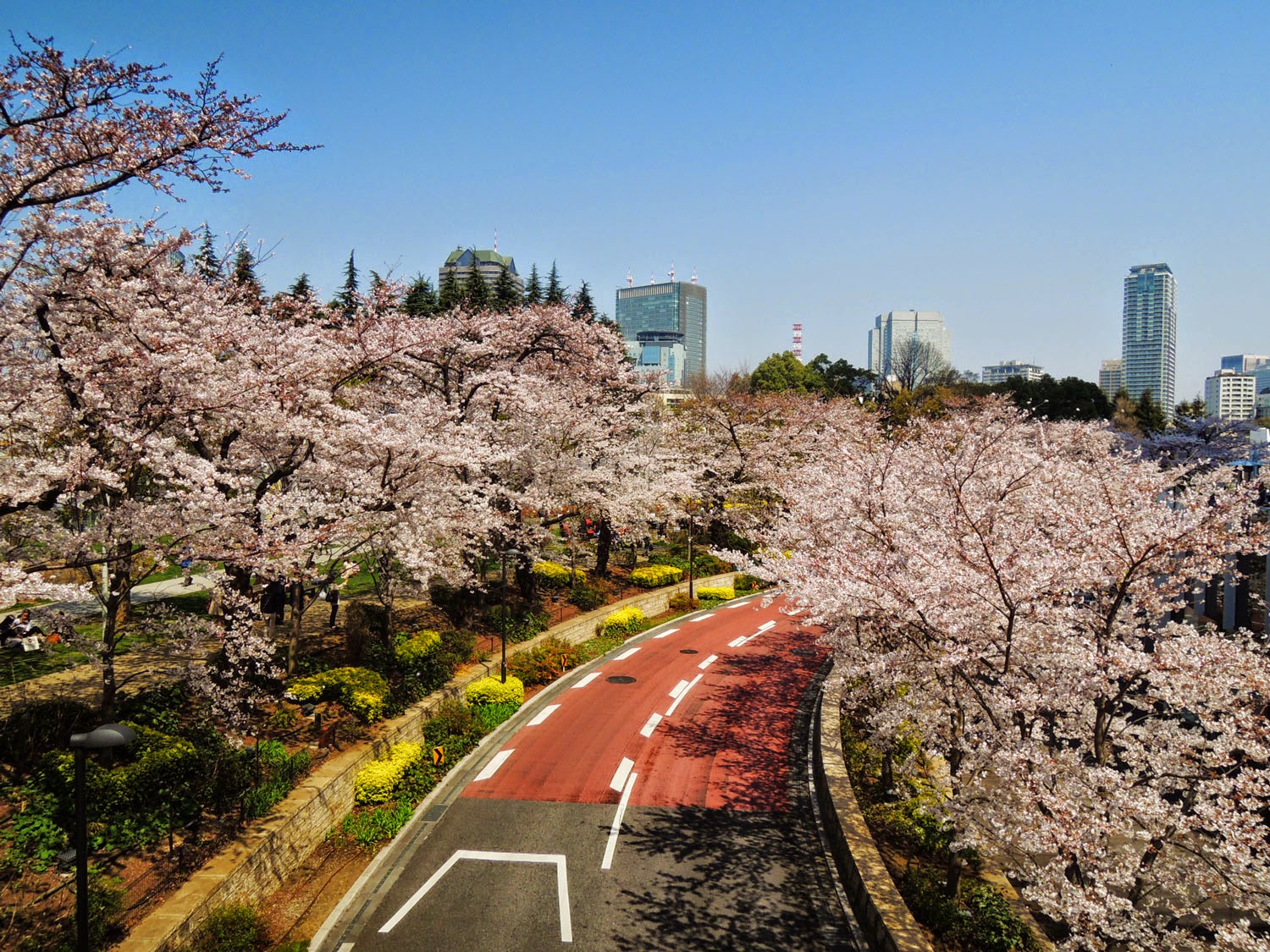 MIDTOWN BLOSSOM 2015