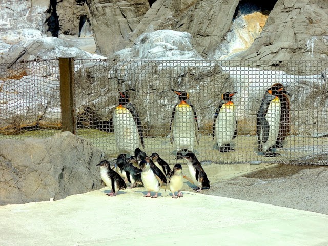 葛西臨海水族園 Tokyo Sea Life Park