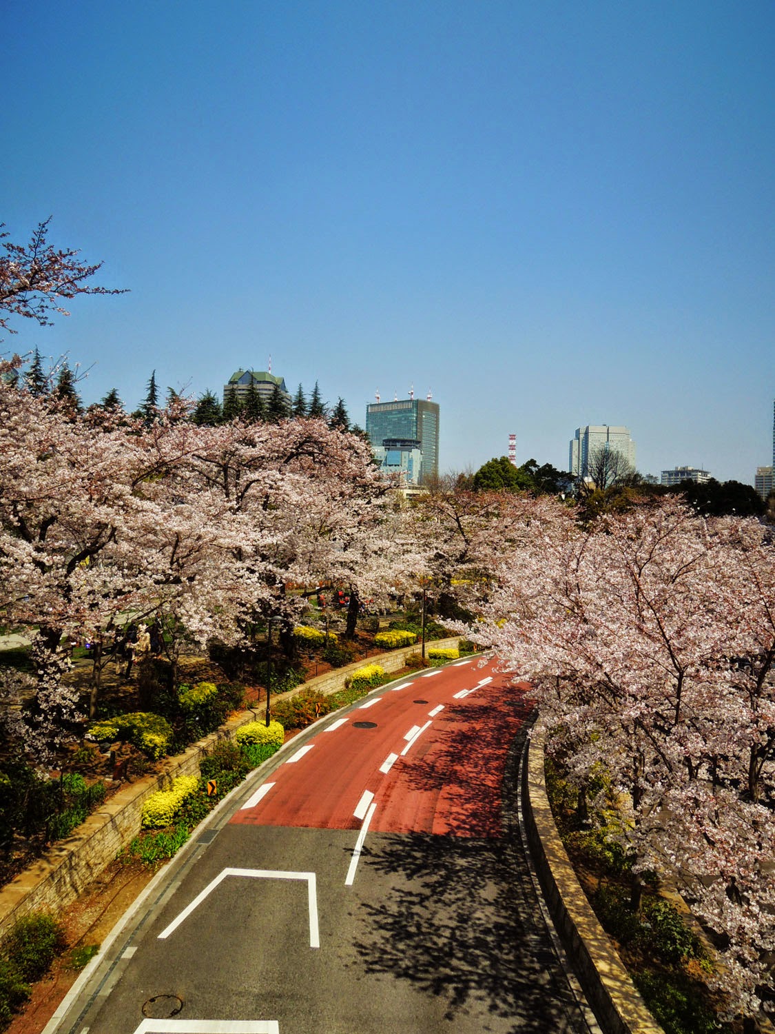 MIDTOWN BLOSSOM 2015