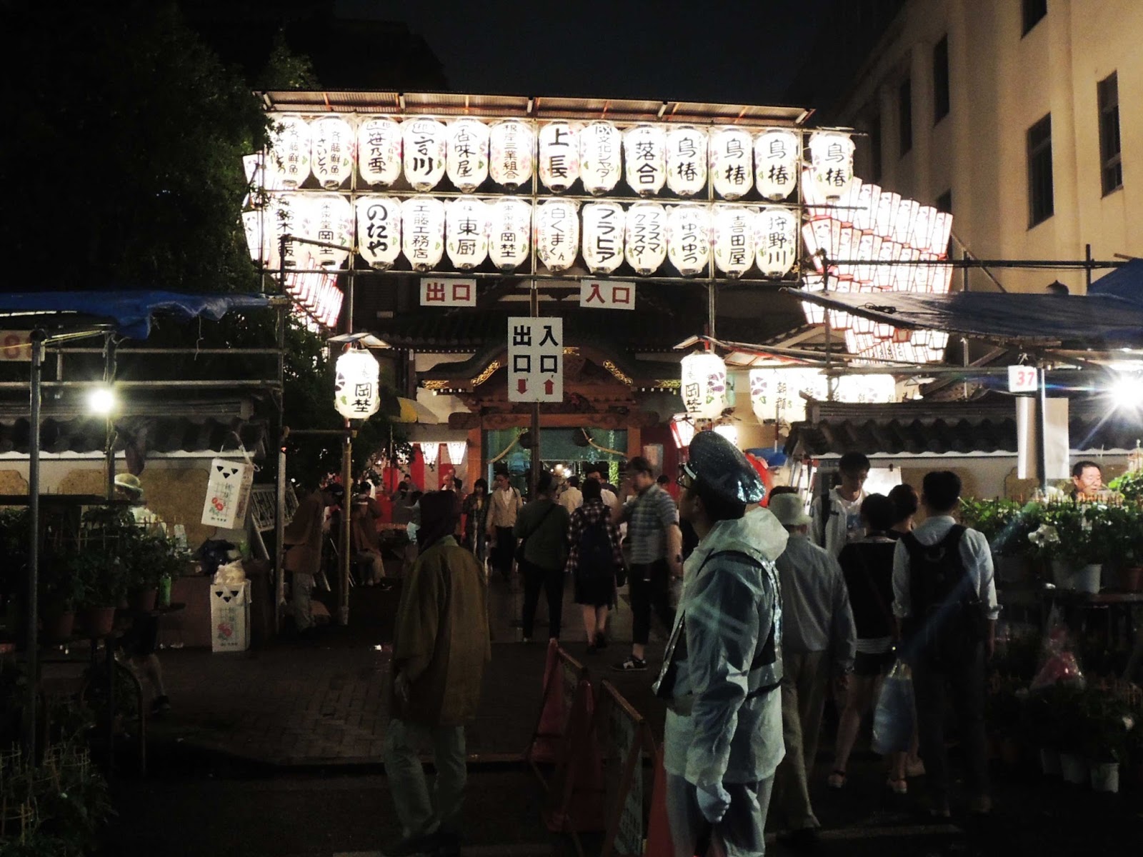 東京観光 入谷朝顔まつり