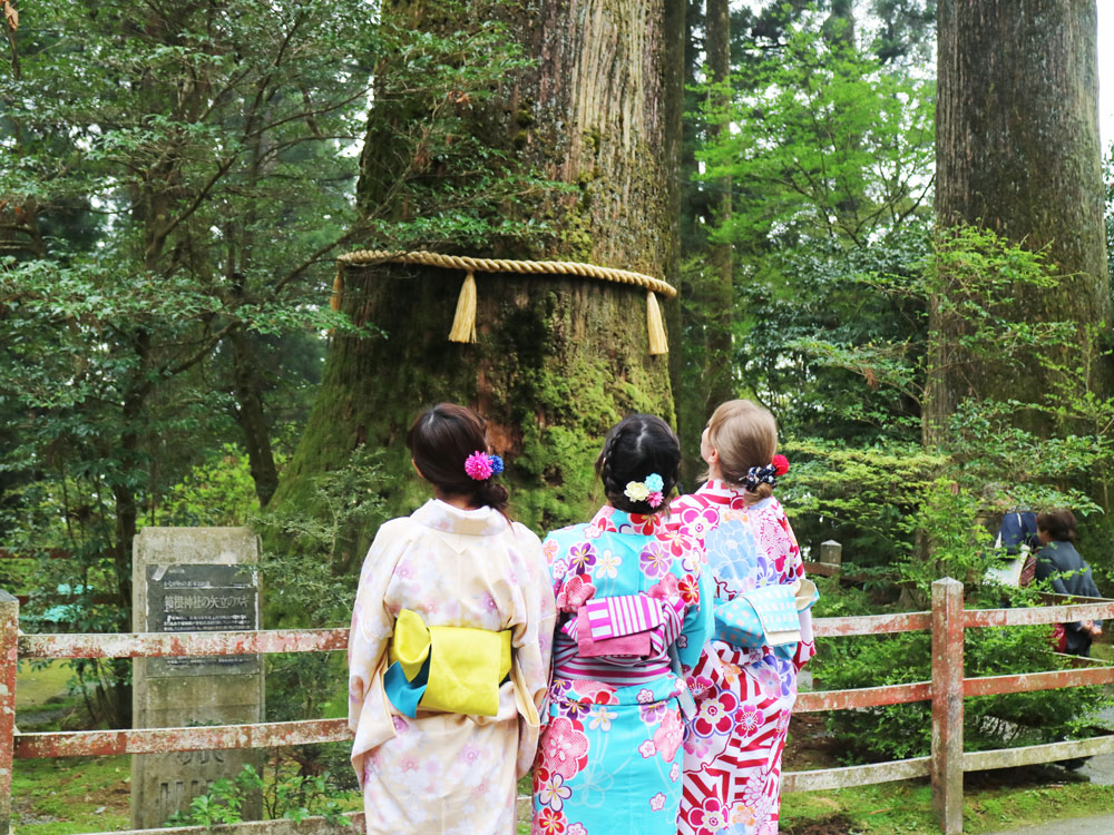 Hakone Shrine