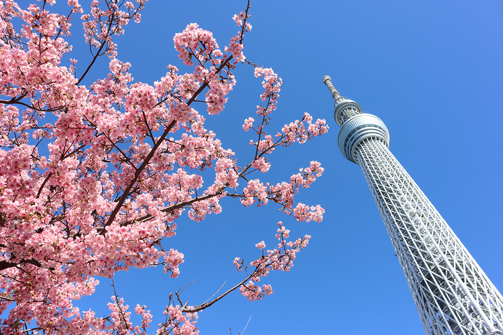気になるあの場所この場所｜話題の観光スポット