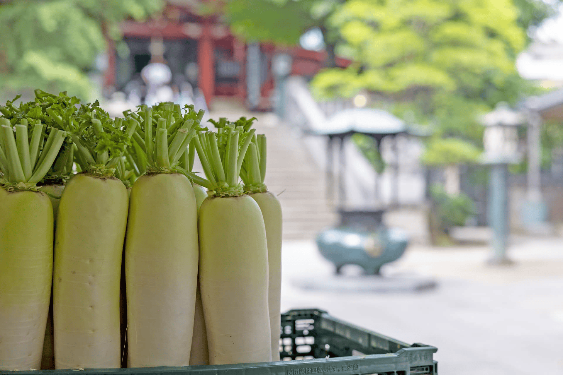 待乳山聖天（まつちやましょうてん） Matsuchiyama Shoten Temple【タクシーで巡る東京観光】
