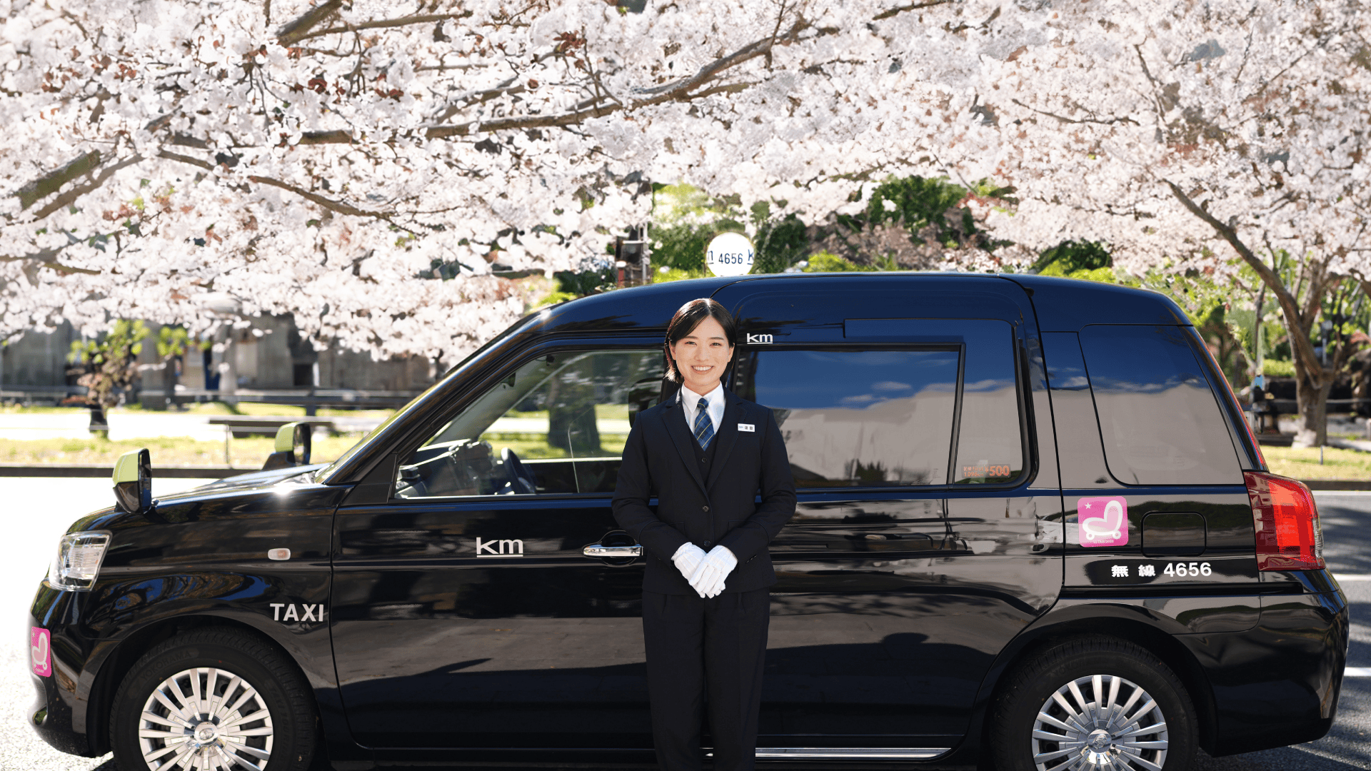 東京の桜を楽しむ「東京観光お花見タクシー」