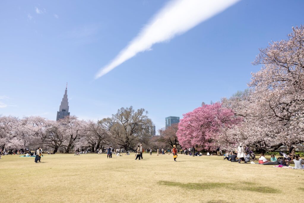 新宿御苑（春） Shinjyuku Gyoen National Garden | 東京観光を
