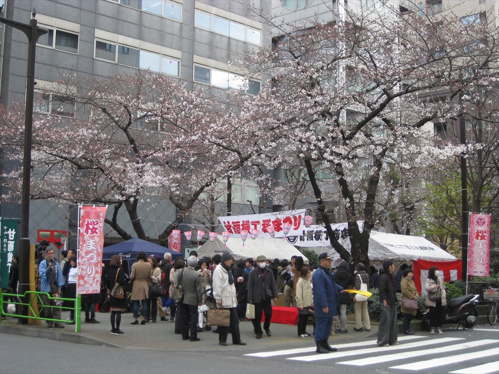 東京/観光/東京観光タクシー/tokyodrive