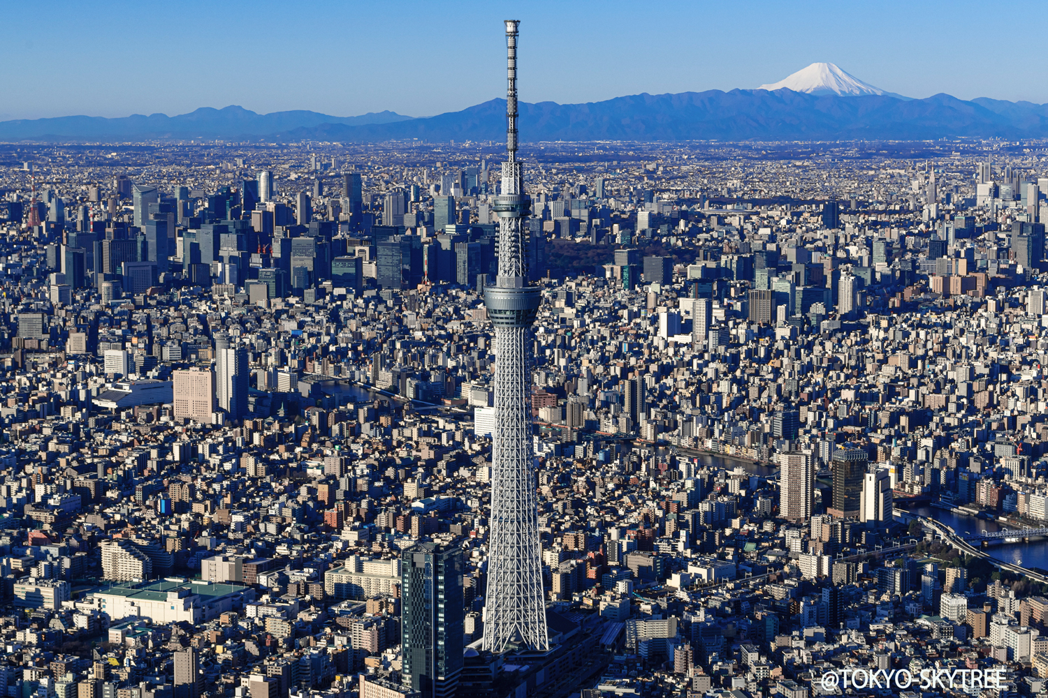 皇居・浅草＆スカイツリータウン 5時間コース 東京観光をタクシーで楽しむためのポータルサイト TokyoDrive
