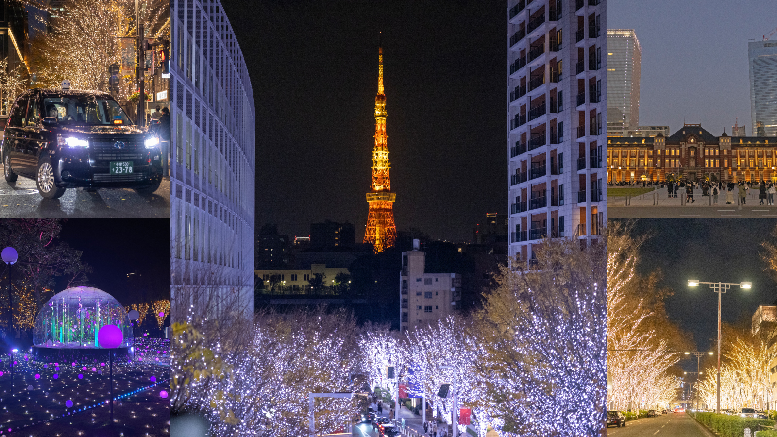 東京観光タクシー「東京冬のイルミネーション」コース