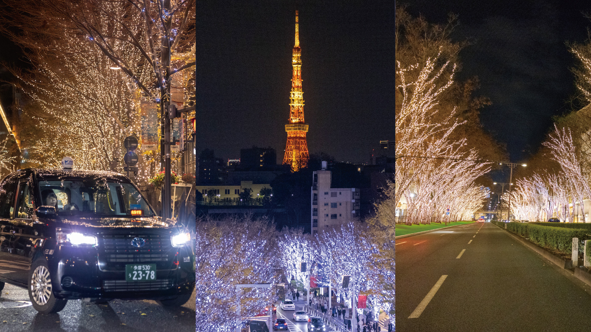 東京観光タクシー「東京冬のイルミネーション」コース