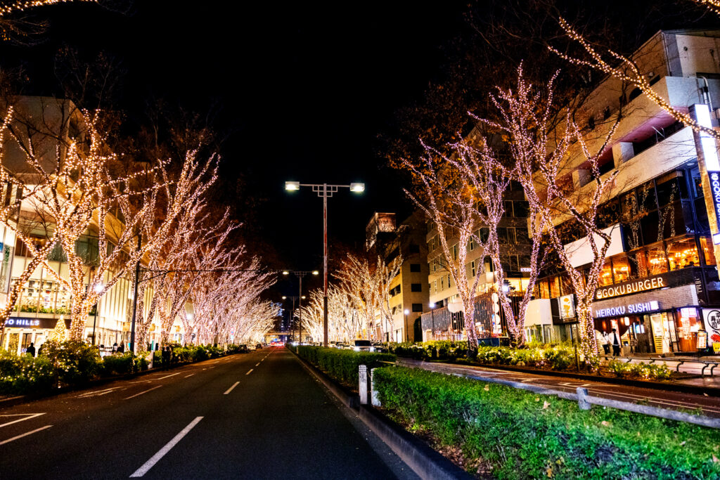 東京イルミネーション観光タクシー