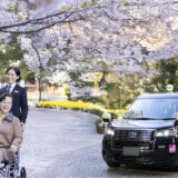 東京の桜を楽しむ「東京観光お花見タクシー2023」